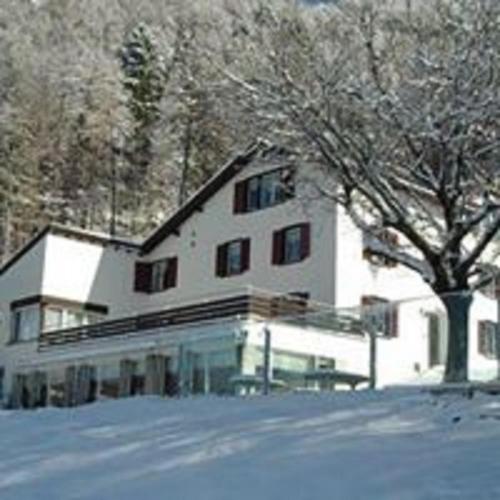 a large white house with a tree in the snow at Hotel Restaurant Heidihof in Maienfeld