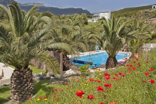 un jardin avec des palmiers et une piscine dans l'établissement Gites Carolina, à Sisco