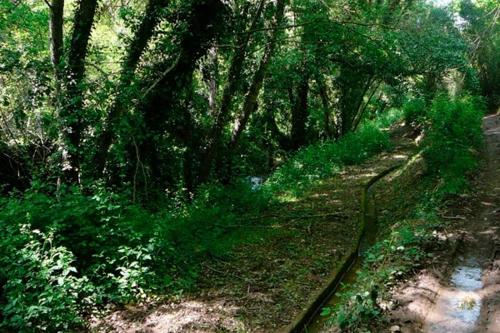 Fotografia z galérie ubytovania Casa Amigo v destinácii Castaño de Robledo