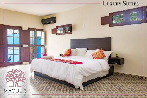 Fotografie z fotogalerie ubytování Hotel Maculís v destinaci Campeche