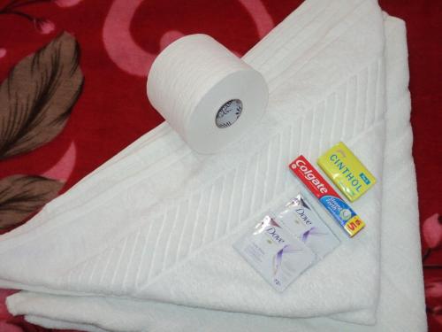 a white towel with a roll of toilet paper at Royal Paying Guest in Kolkata