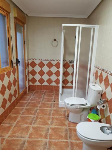a bathroom with a toilet and a shower at Casa Herron in Cazorla