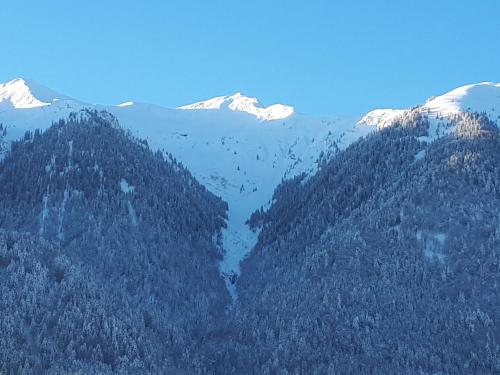 a mountain with trees and snow capped mountains at Fewo's Sieberer in Kirchbach