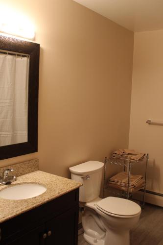 a bathroom with a toilet and a sink and a mirror at Attractive East Hill Apartment in Ithaca