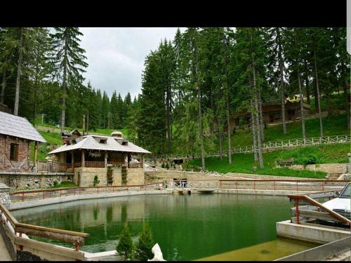 a pool of green water with a building and a house at Vlašićka priča Eko Fis in Vlasic