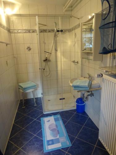 W łazience znajduje się prysznic i umywalka. w obiekcie Ferienwohnung Am Waldrand w mieście Bad Breisig