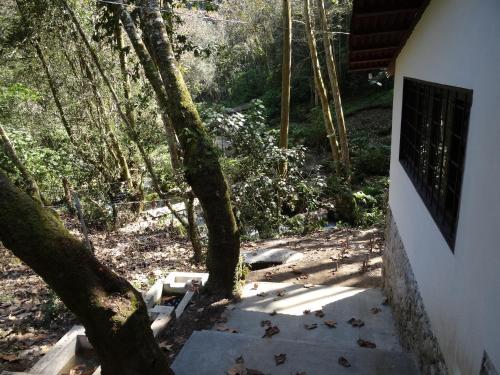 a tree sitting next to a sidewalk next to a house at Recinto Natural SEMUK in Zacatlán