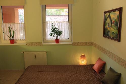 1 dormitorio con 1 cama y 2 ventanas en Raday Central Apartment, en Budapest