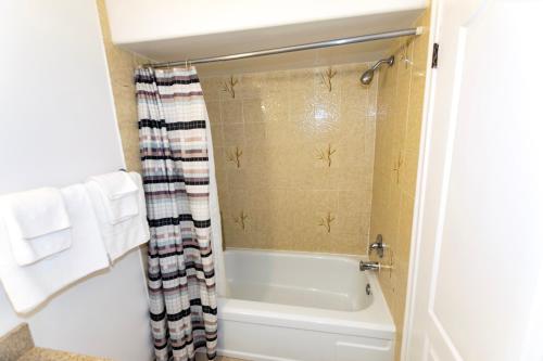 a bathroom with a shower and a tub and a toilet at Countryside Inn in Kingston