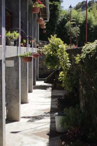 an alley with potted plants on the side of a building at Hotel y Cabañas una Cosita de Zacatlán in Zacatlán