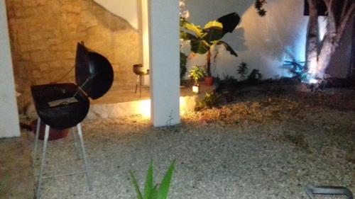 a room with a chair and some plants in it at Casa Picadilly in Boca Chica