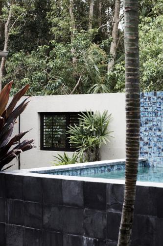 a swimming pool with a palm tree next to a wall at The Villas of Byron in Byron Bay