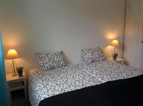 ヴァロン・ポン・ダルクにあるLa Cigale - Pte des Gorges - Piscine privée chaufféeのベッドルーム1室(白黒のベッド1台、ランプ2つ付)