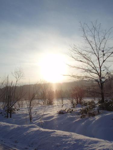 a snow covered field with the sun in the background at Pension Gooseberry in Furano