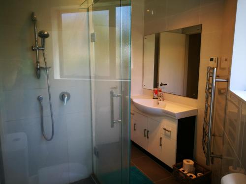 a bathroom with a glass shower and a sink at Monique's Rose Room Prvt BthRm AC TV in Auckland