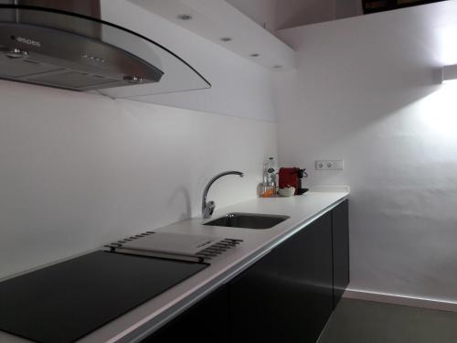 Dapur atau dapur kecil di Apartaments y Habitacions Entre Volcans