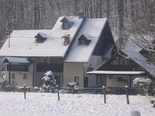 a house with a roof covered in snow at Apartments Gubanec in Cerklje na Gorenjskem