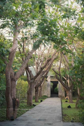 a path through a bunch of trees in a park at Villa Mahabhirom - SHA Plus in Chiang Mai