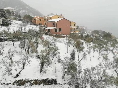 Gallery image of Perla del Levante Hostel in Framura