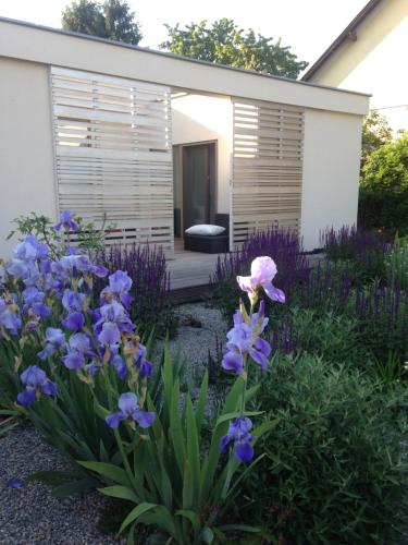 Zahrada ubytování Bungalow Brigitte
