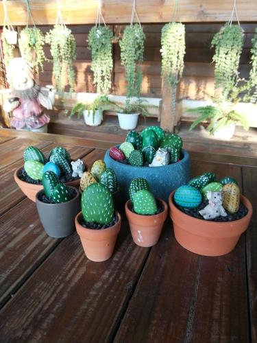 a group of cactus plants in pots on a table at Taichung Xinshe Garden Life Homestay B&B in Xinshe