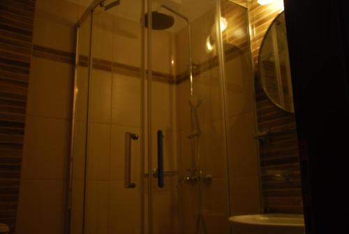 
a bathroom with a shower, toilet, and sink at Hotel Achillion in Makrýgialos
