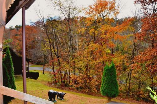 Hartman House – Photos 2