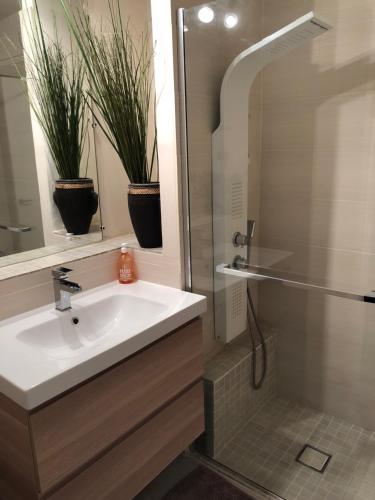 La salle de bains est pourvue d'un lavabo et d'une douche avec des plantes en pot. dans l'établissement Home, à Cogolin