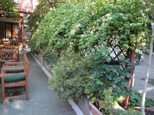 Giardino di Hotel Melody