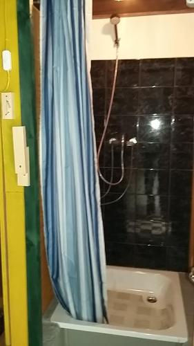 a bathroom with a shower with a blue shower curtain at shepherds cottage in Euscheid