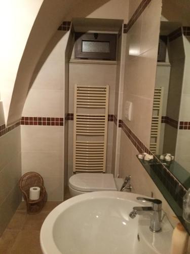 La salle de bains est pourvue d'un lavabo et de toilettes. dans l'établissement Madre Terra, à Toritto