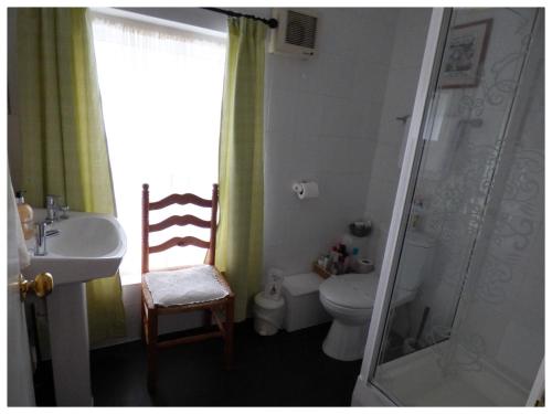 a bathroom with a toilet and a sink and a shower at Maison Dieu Guest House in Dover