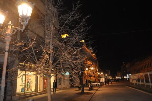 a street at night with a tree and street lights at Apartment Eugen in Novi Sad