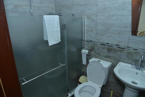 a bathroom with a shower and a toilet and a sink at Hotel Bella Donna in Kumanovo