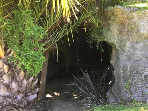 a cave in a stone wall with plants at The Rocks Chalets in Takaka
