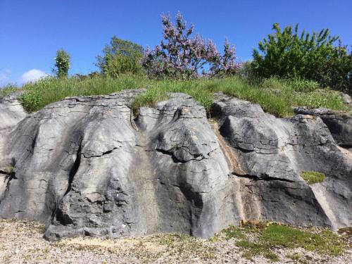 a large rock with grass on top of it at The Rocks Chalets in Takaka