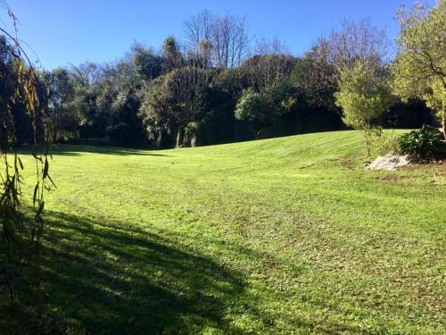 a field of green grass with trees in the background at The Rocks Chalets in Takaka
