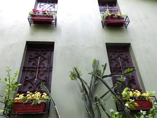 three windows with flower boxes on the side of a building at Pousada Éden - Conforto, Imersão e Natureza in Sao Jorge