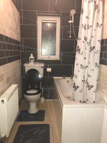 a bathroom with a toilet and a shower curtain at Windmill cottage in Donegal