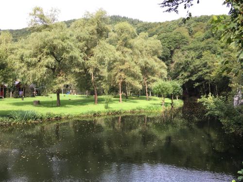 einen Park mit einem Teich und Bäumen und einem Hügel in der Unterkunft Dirbach Plage Parc in Dirbach