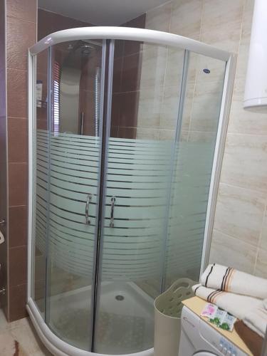 a glass shower in a bathroom with a toilet at Apartment Joksimovic in Zlatibor