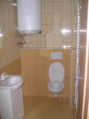 a bathroom with a white toilet and a sink at VINAŘSTVÍ DAVID OSIČKA in Velké Bílovice