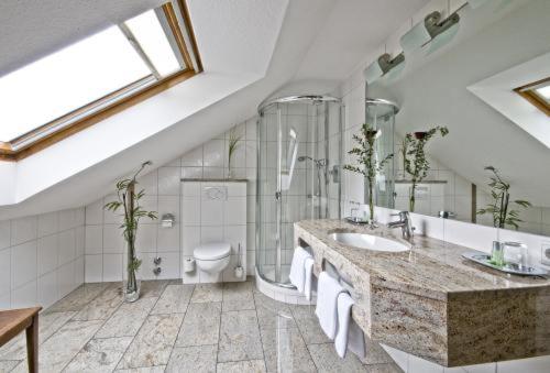 ein großes Bad mit einem Waschbecken und einem WC in der Unterkunft Hotel Am Rosenberg in Bad Driburg