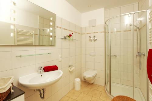 een badkamer met een wastafel, een douche en een toilet bij Ferienwohnung Seestraße in Zempin