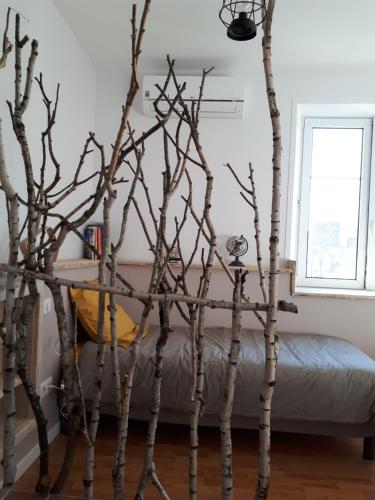 Postel nebo postele na pokoji v ubytování Carpe Diem Bed & Breakfast