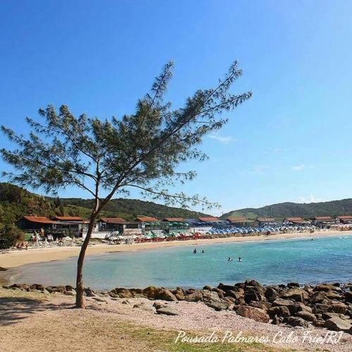a tree on a beach with people in the water at Pousada Palmares in Cabo Frio