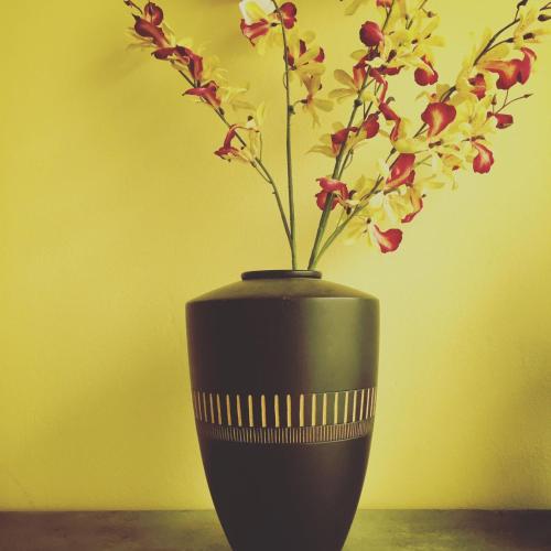 a black vase with a plant in it at Caprirural in Los Ángeles de San Rafael