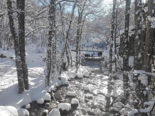 a snow covered forest with a bridge and a creek at Hotel La Casa Chacinera in Candelario