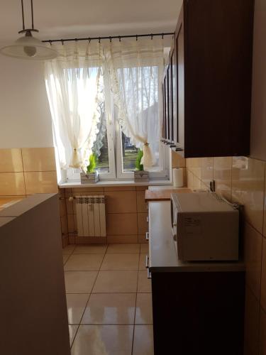 een kleine keuken met een raam en een magnetron bij Apartament Aga2 in Oświęcim