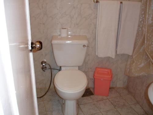 a bathroom with a white toilet and a red trash can at Sara Hotel Aswan in Aswan